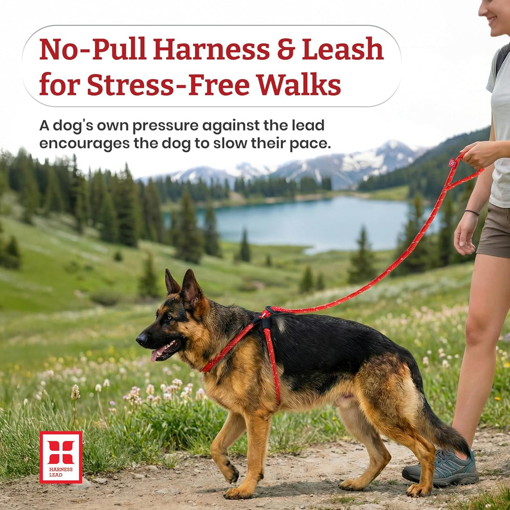 Black reflective Harness Lead no-pull dog leash set
