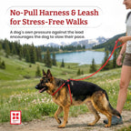 Black reflective Harness Lead no-pull dog leash set