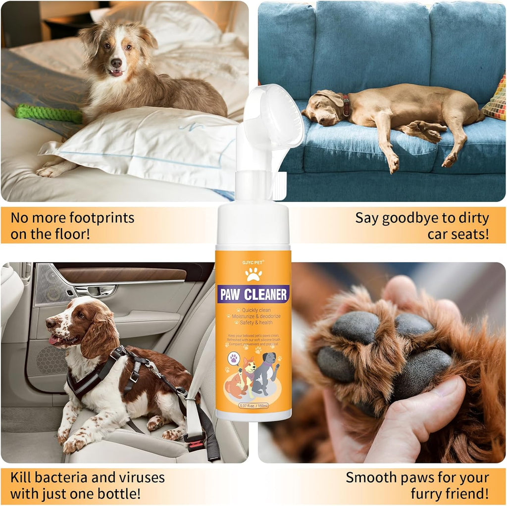 Demonstration of foam application on dog paws