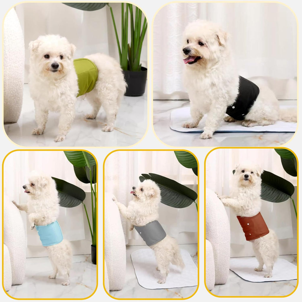 KUTKUT medium male dog wrap placed flat to display leakproof edges