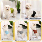 KUTKUT medium male dog wrap placed flat to display leakproof edges