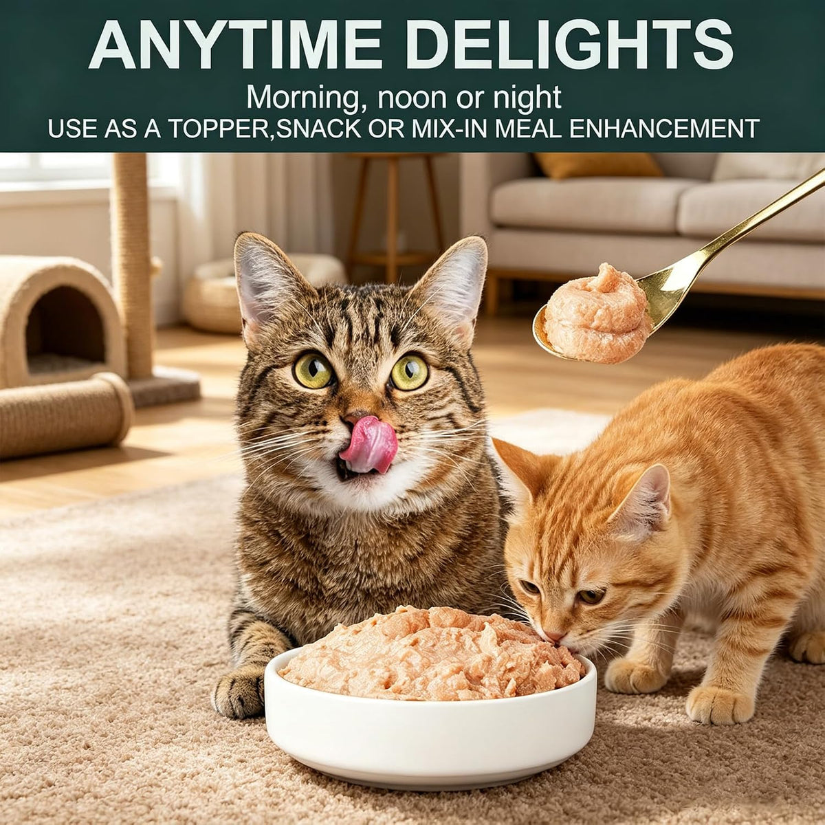 Nutritional label of Xelara grain free cat broth