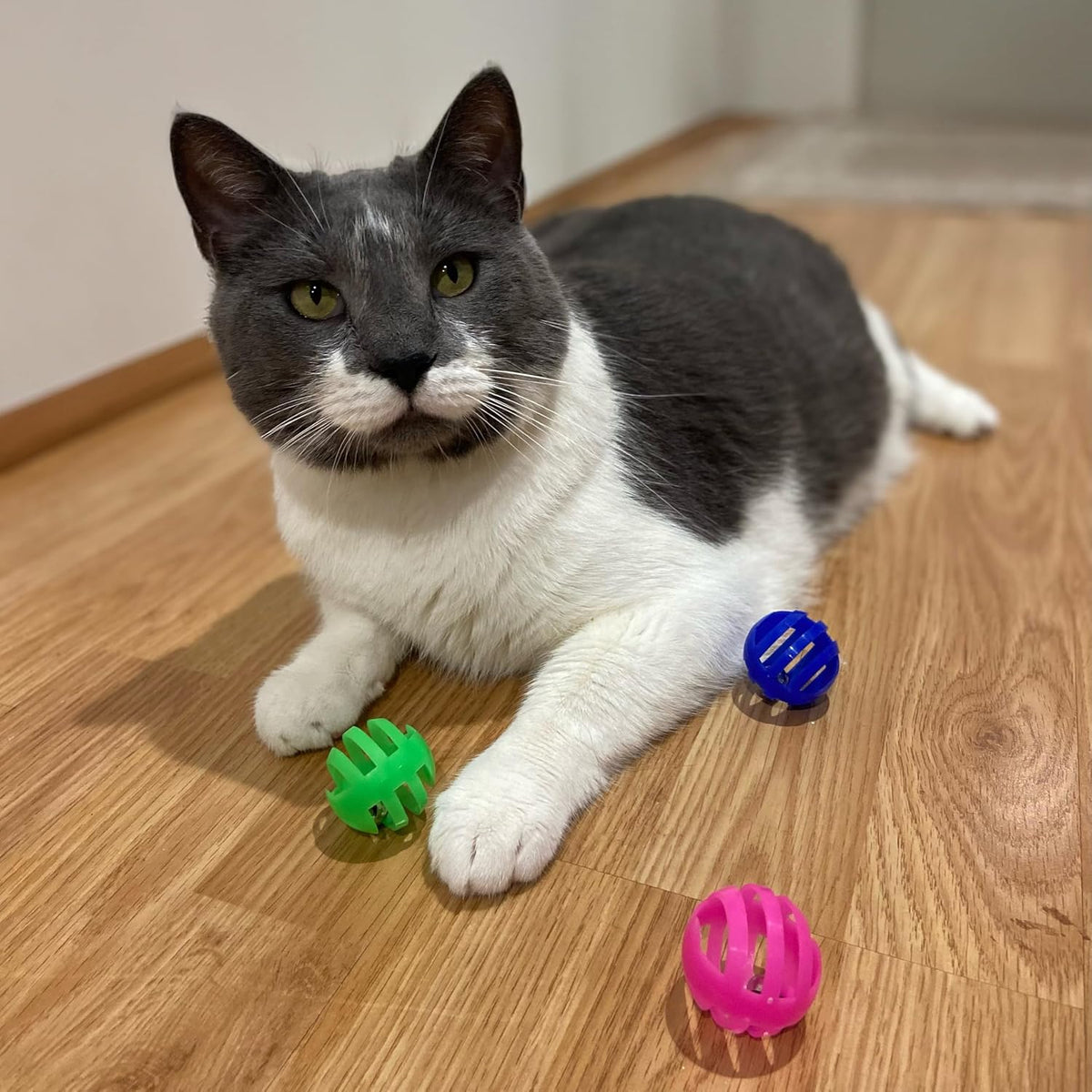 SPOT Slotted Balls Cat Toy - Interactive Cat Toys for Indoor Cats to Chase, Hunt and Stimulate - Jingle Bell Inside for Sound When Batted Around - Safe and Non-Toxic - 1.5" Assorted 4-Pack - Image 5