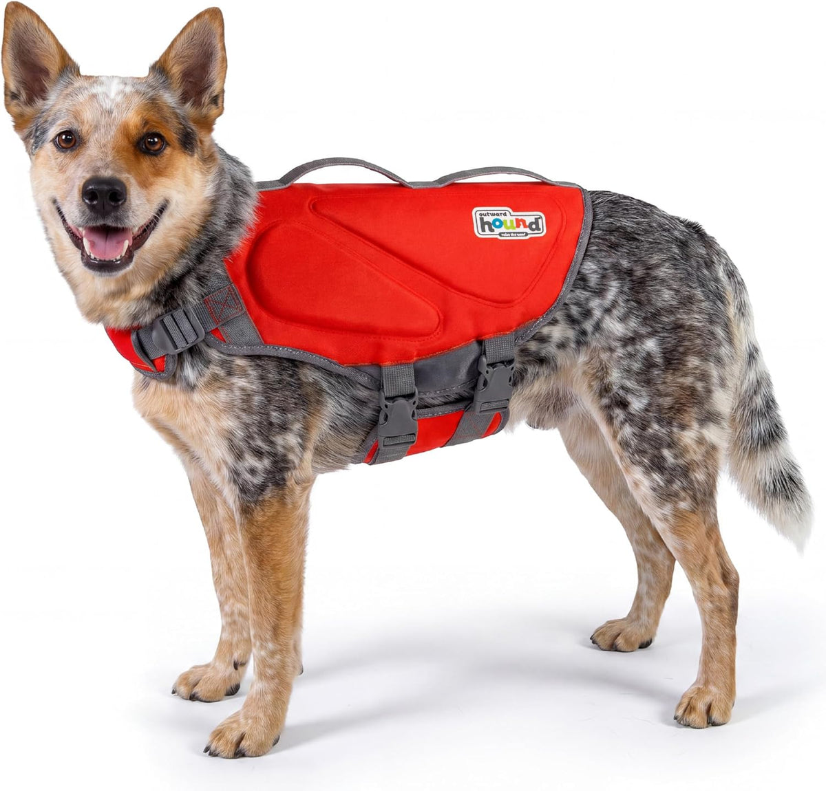 Outward Hound Dawson dog life jacket front view commercial flotation aid