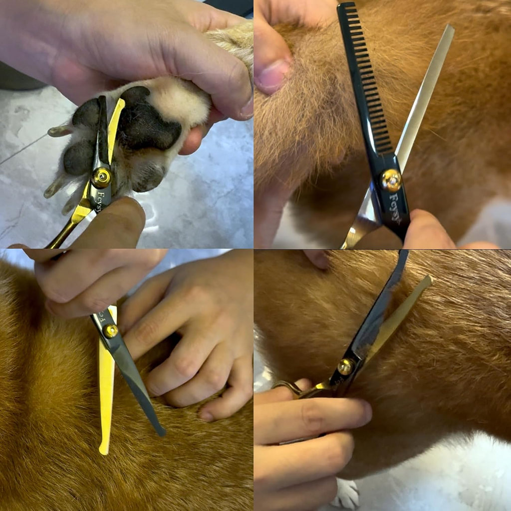 Complete overview of the Fcysy premium imported pet grooming supply set.