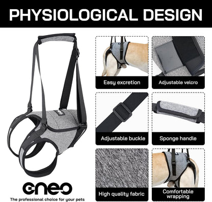 Adjustable strap details of Cneo dog mobility sling