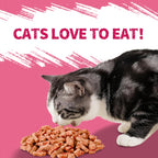 Just Try indoor cat health supplements showing daily dental chew textures.