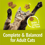 Bulk size packaging of imported breakfast inspired crunchy treats for multi cat homes