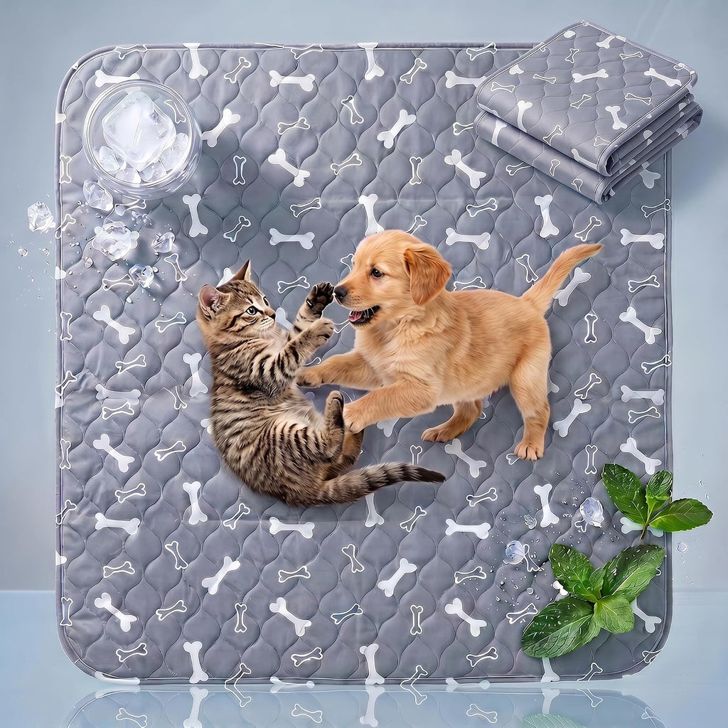 Boryaowang washable puppy pee pads front view grey with bone pattern