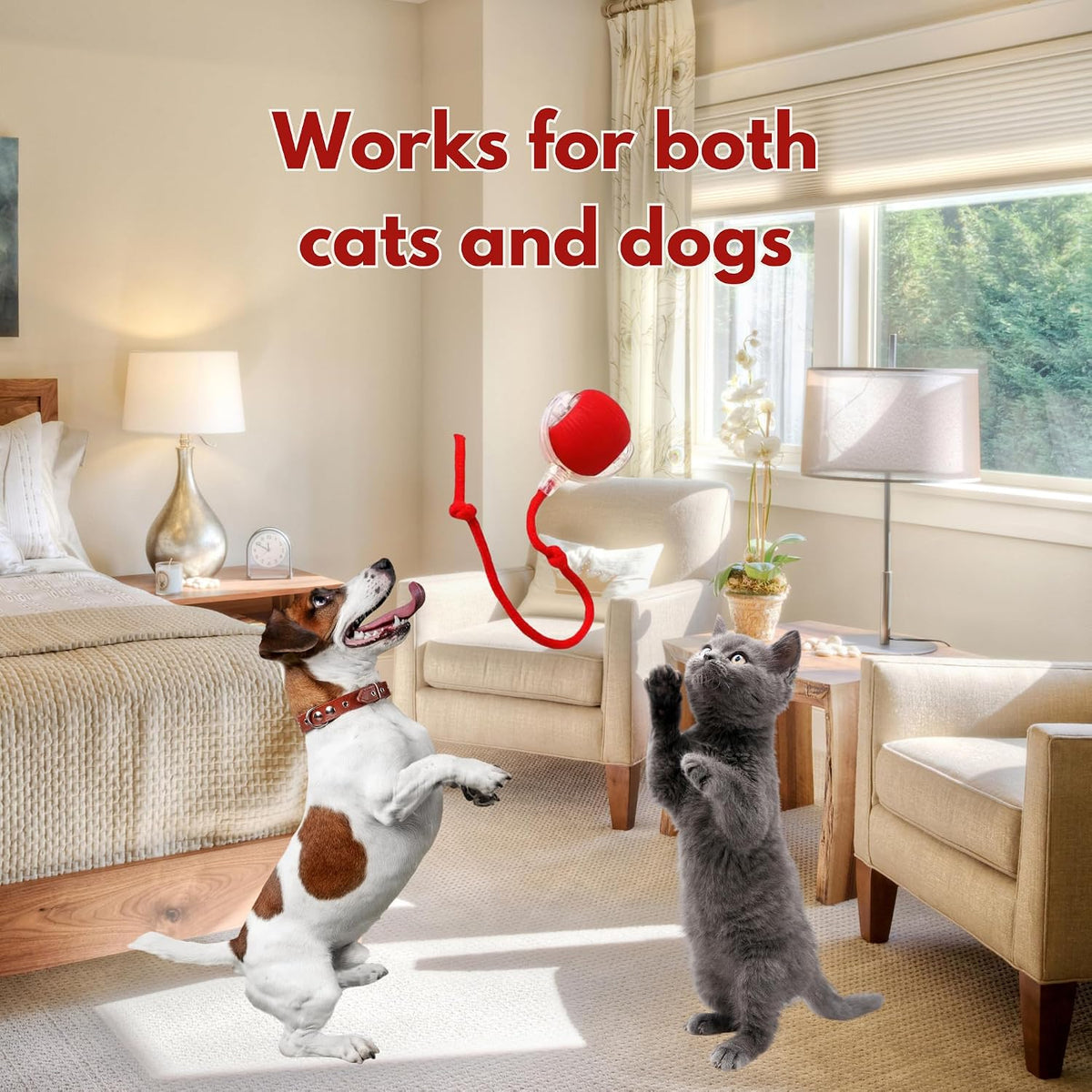 Cat playing with Mardynus Speedy Tail 2.0 rolling toy