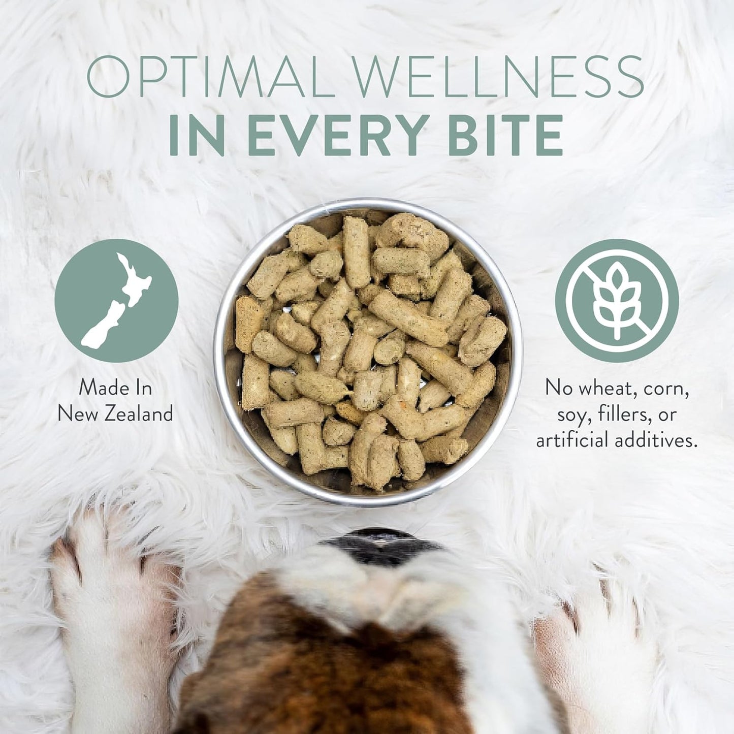 Premium grain free raw dog food package alongside natural superfood ingredients like green lipped mussels and coconut oil.