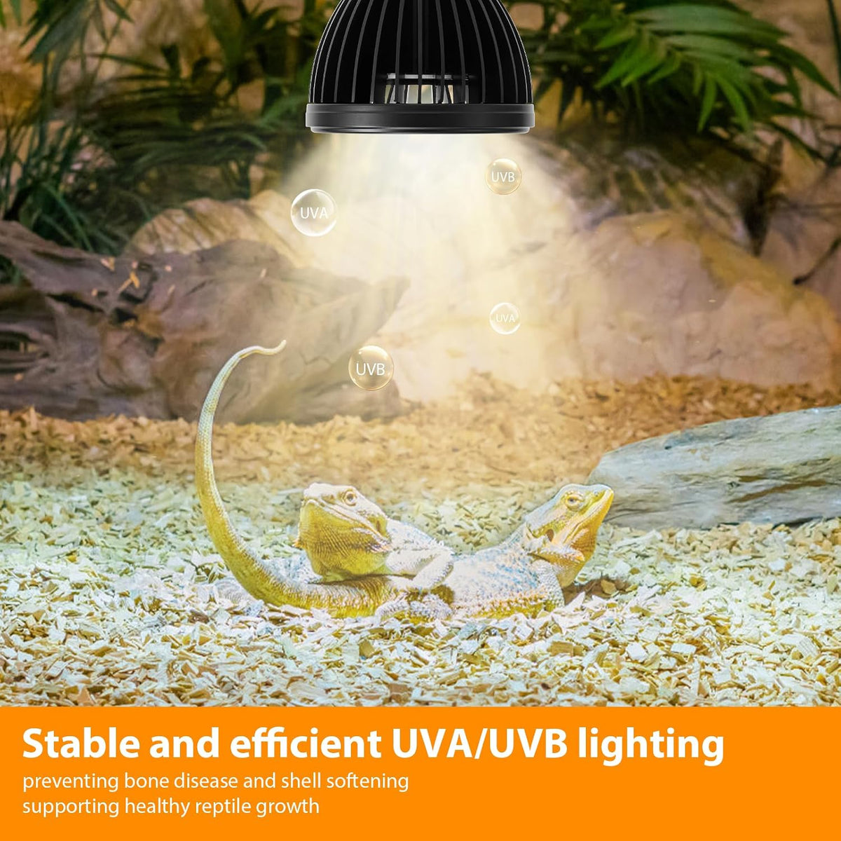 Reptitrip 5.0 UVB lamp demonstrated alongside a reptile habitat.
