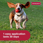 K9 Advantix II monthly pest protection topical drops active ingredients list