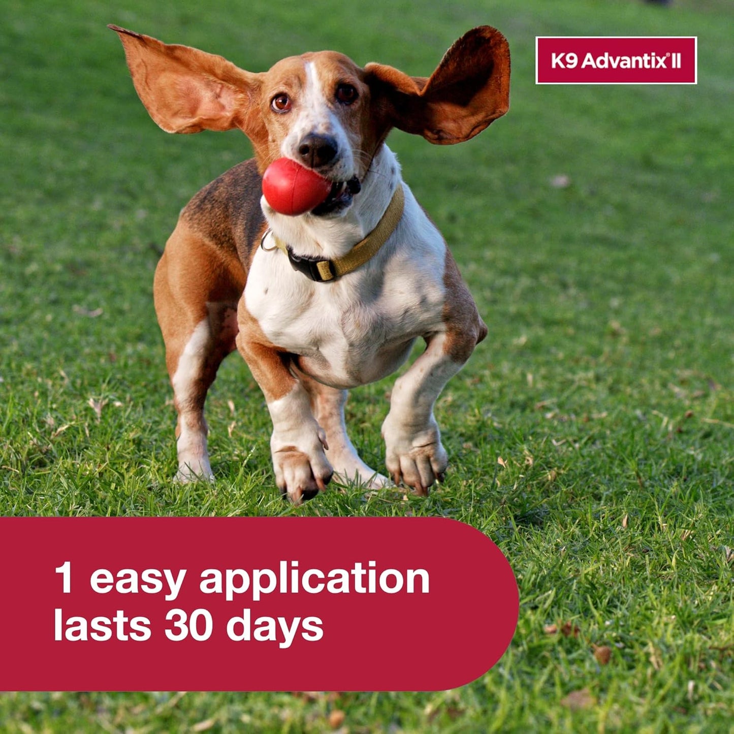 Waterproof pest control formula for small dogs product benefits panel