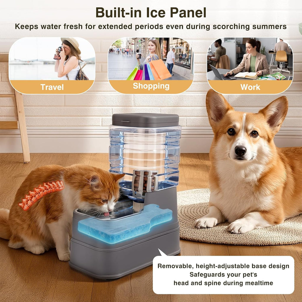Pawzone automatic dog feeder showing the siphon mechanism that prevents messy water overflows.