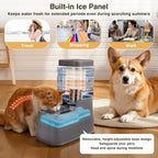 Pawzone automatic dog feeder showing the siphon mechanism that prevents messy water overflows.