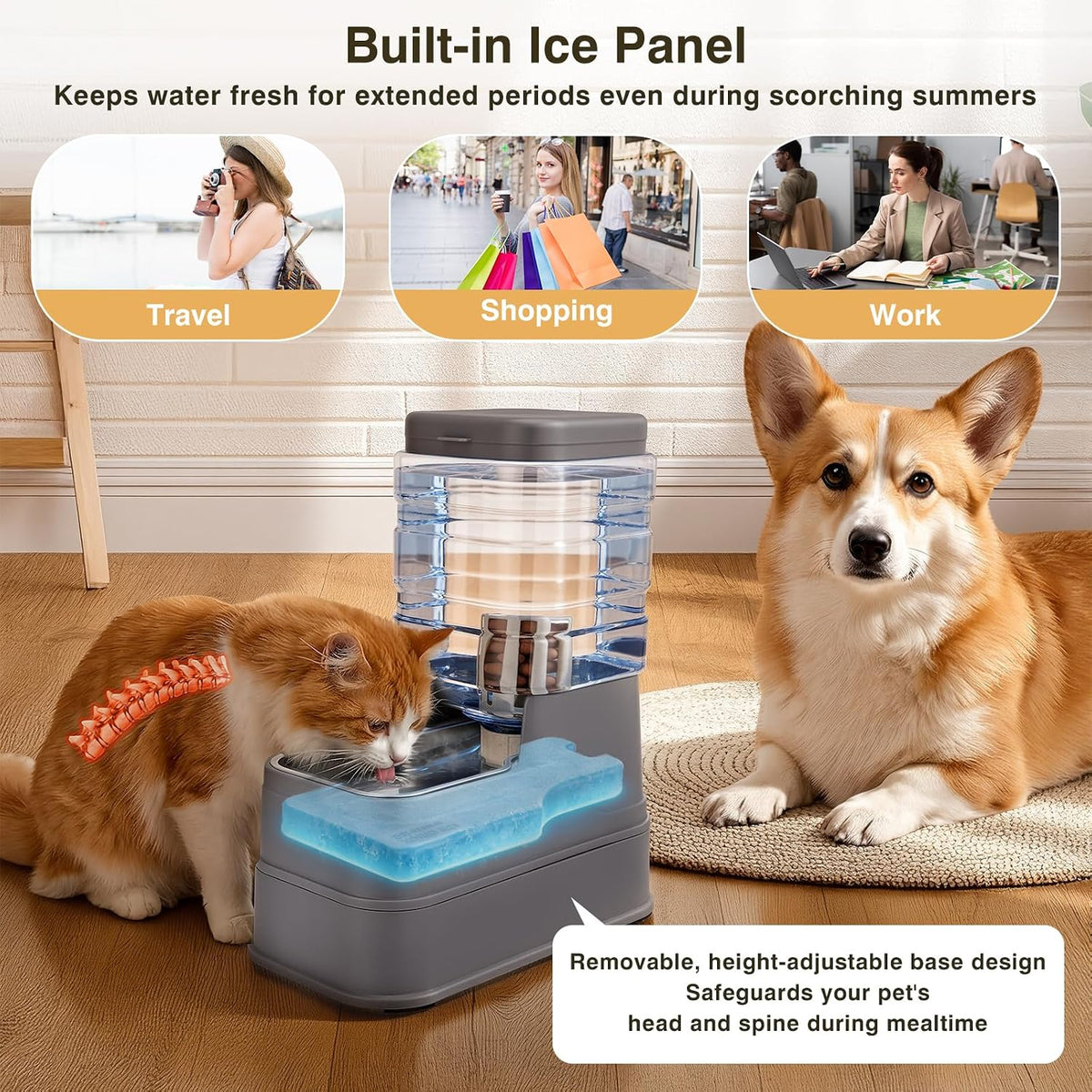 Pawzone automatic dog feeder showing the siphon mechanism that prevents messy water overflows.