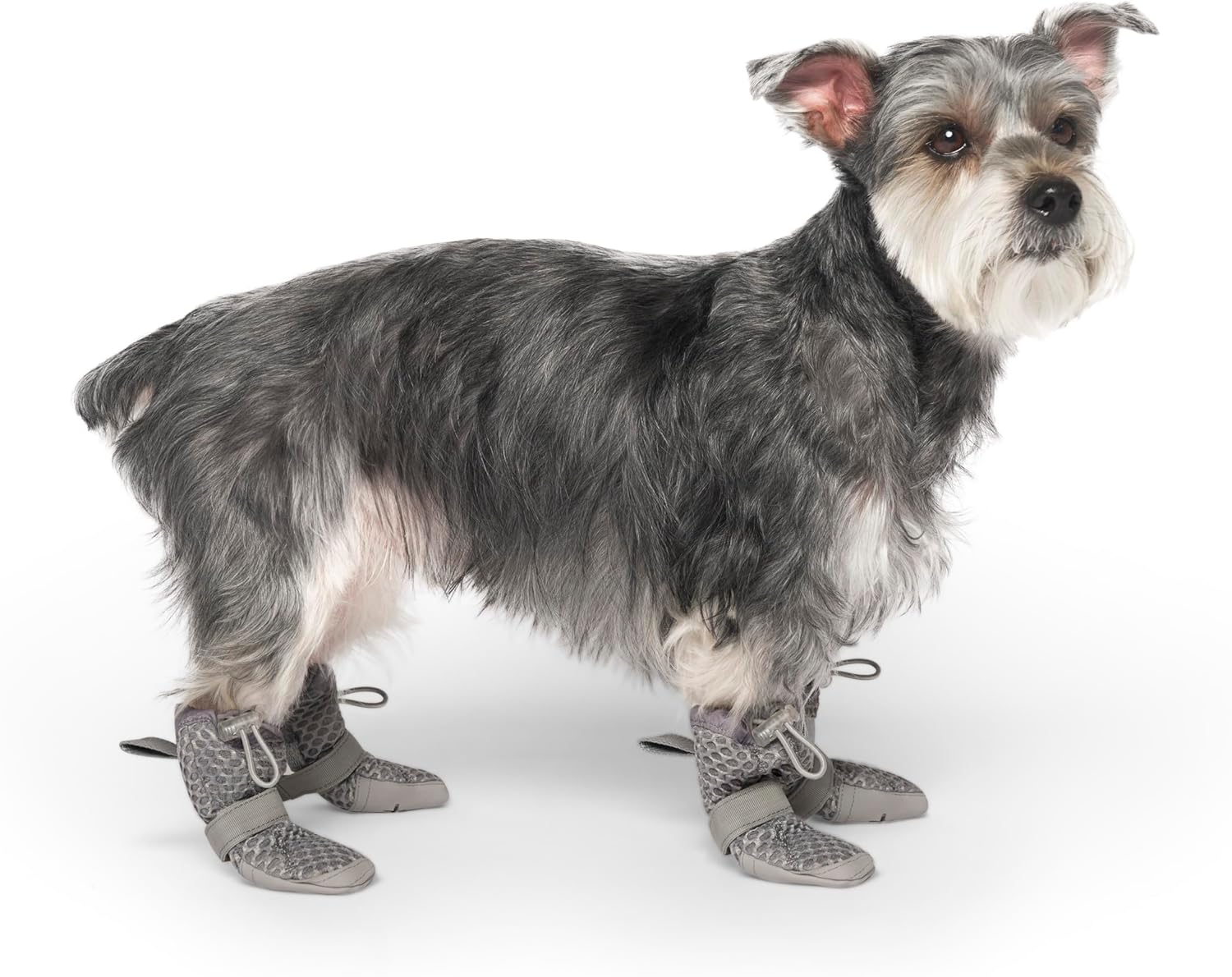 Canada Pooch Hot Pavement Dog Boots grey front view