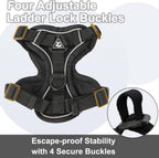 Reflective strips detail on cat walking harness