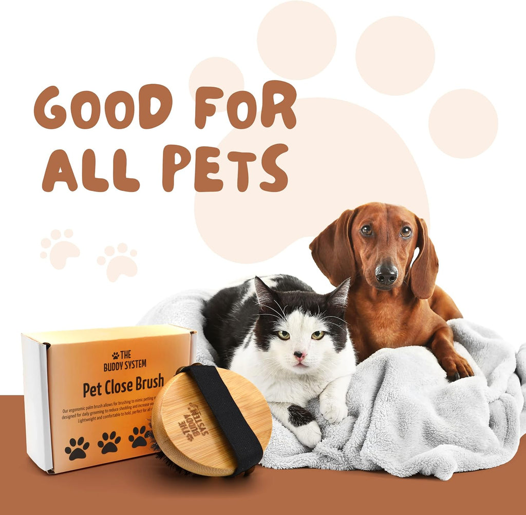 The Buddy System eco friendly bamboo pet grooming tool for dogs and cats highlighting its lightweight structure.