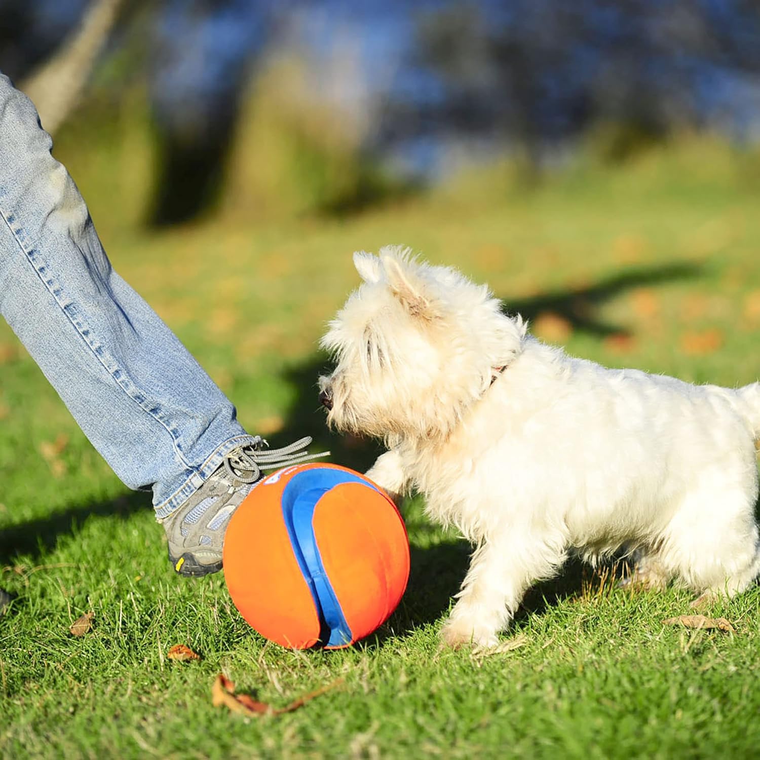 Chuckit! Kick Fetch ball showing deep grooves
