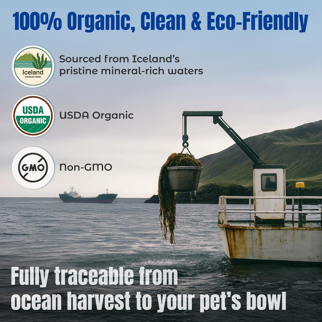 Cat and dog health supplement Life Line ocean kelp canister