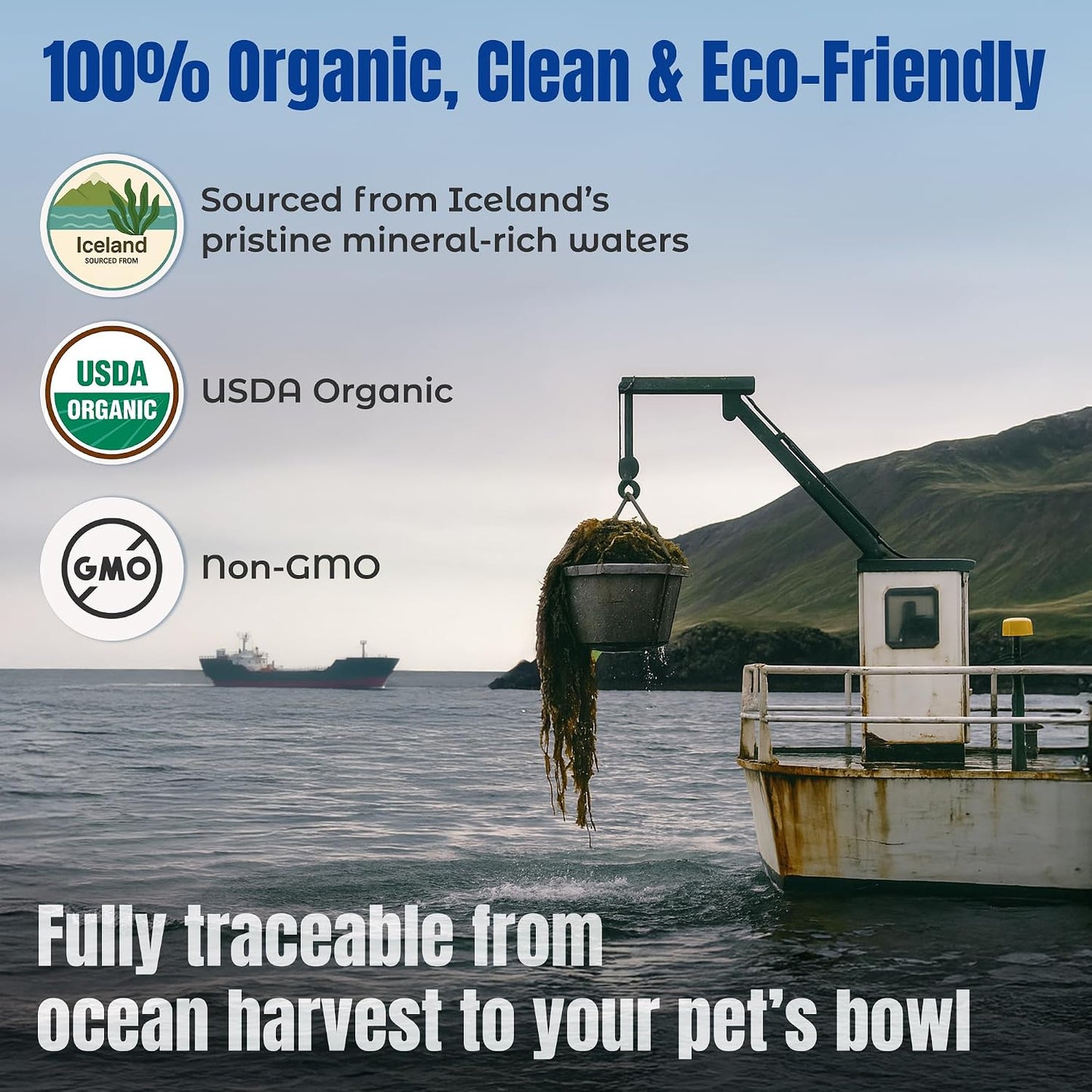 Cat and dog health supplement Life Line ocean kelp canister