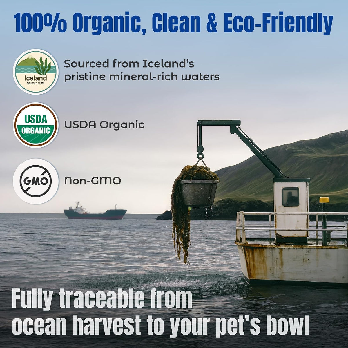 Cat and dog health supplement Life Line ocean kelp canister