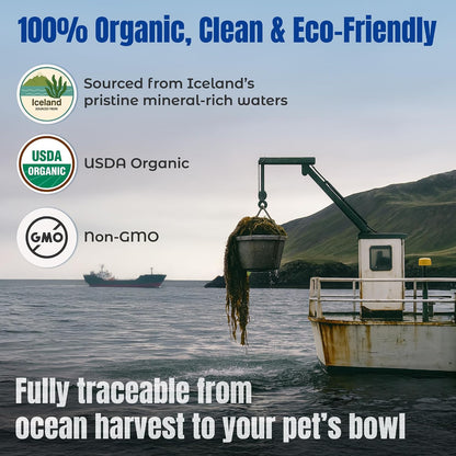 Cat and dog health supplement Life Line ocean kelp canister
