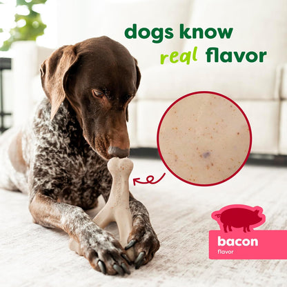 Dog Bones for Modest Chewers: Benebone Green Plant-Based Real Bacon Wishbone Dog Chew Toy for Medium Dogs, Made in USA - Image 3