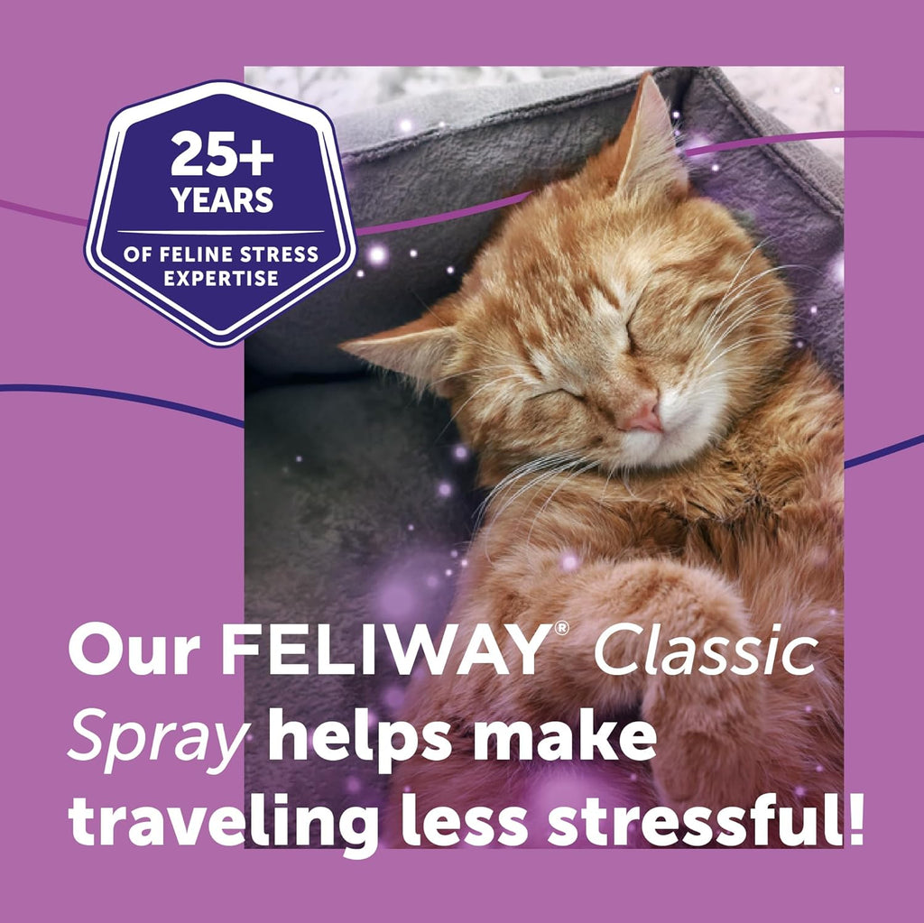 Cat resting comfortably near FELIWAY Classic Cat Calming Spray