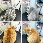 Top view of Yddpet 7.87 inch solid wood pet grooming tool