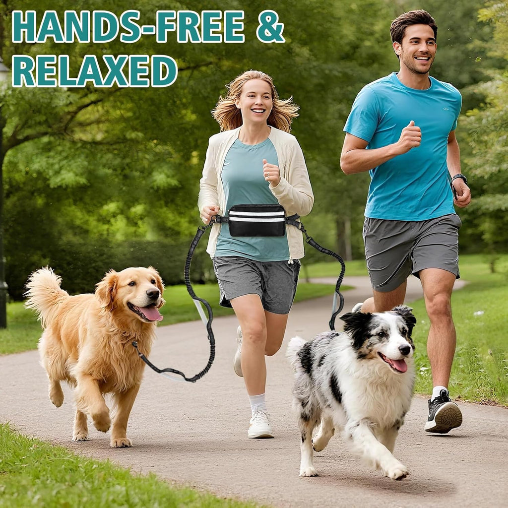 Godyoy double safety lock waist belt leash for two dogs close up