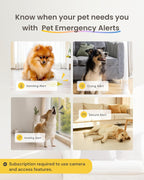 Furbo 360 degrees Dog Camera [Subscription Required] Unlock w/Paid Plan: Home Security & Dog Safety Alerts, Rotating Pet Treat Toss, 2-Way Speaker (Low Risk, 3mo Min. Cancel Anytime) - Image 15