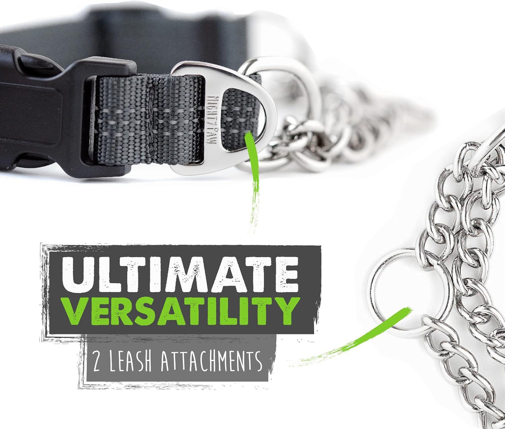 Escape proof limited slip dog collar highlighting the dual D ring attachment.