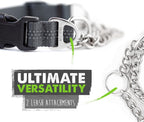 Escape proof limited slip dog collar highlighting the dual D ring attachment.