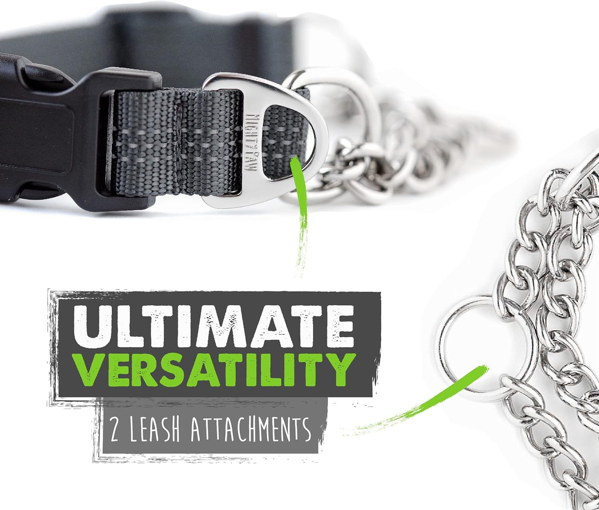 Escape proof limited slip dog collar highlighting the dual D ring attachment.