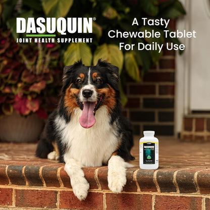 Authentic imported USA pet joint supplement with glucosamine and ASU