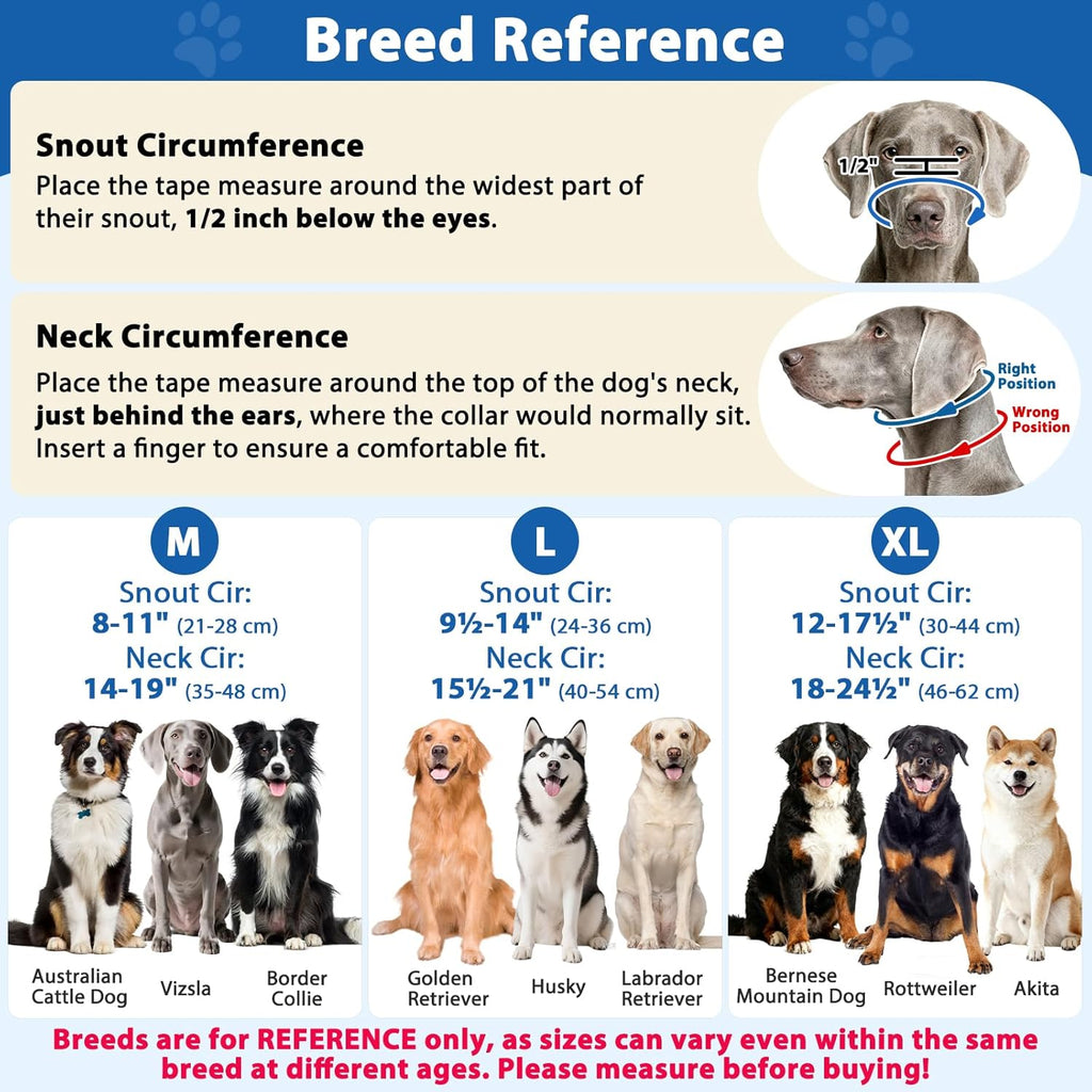 Barkless blue dog muzzle leash for large dogs secure buckle fitting