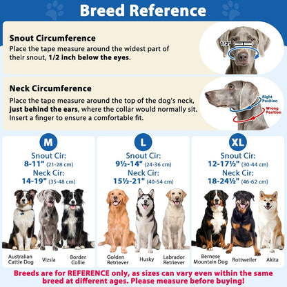 Barkless blue dog muzzle leash for large dogs secure buckle fitting