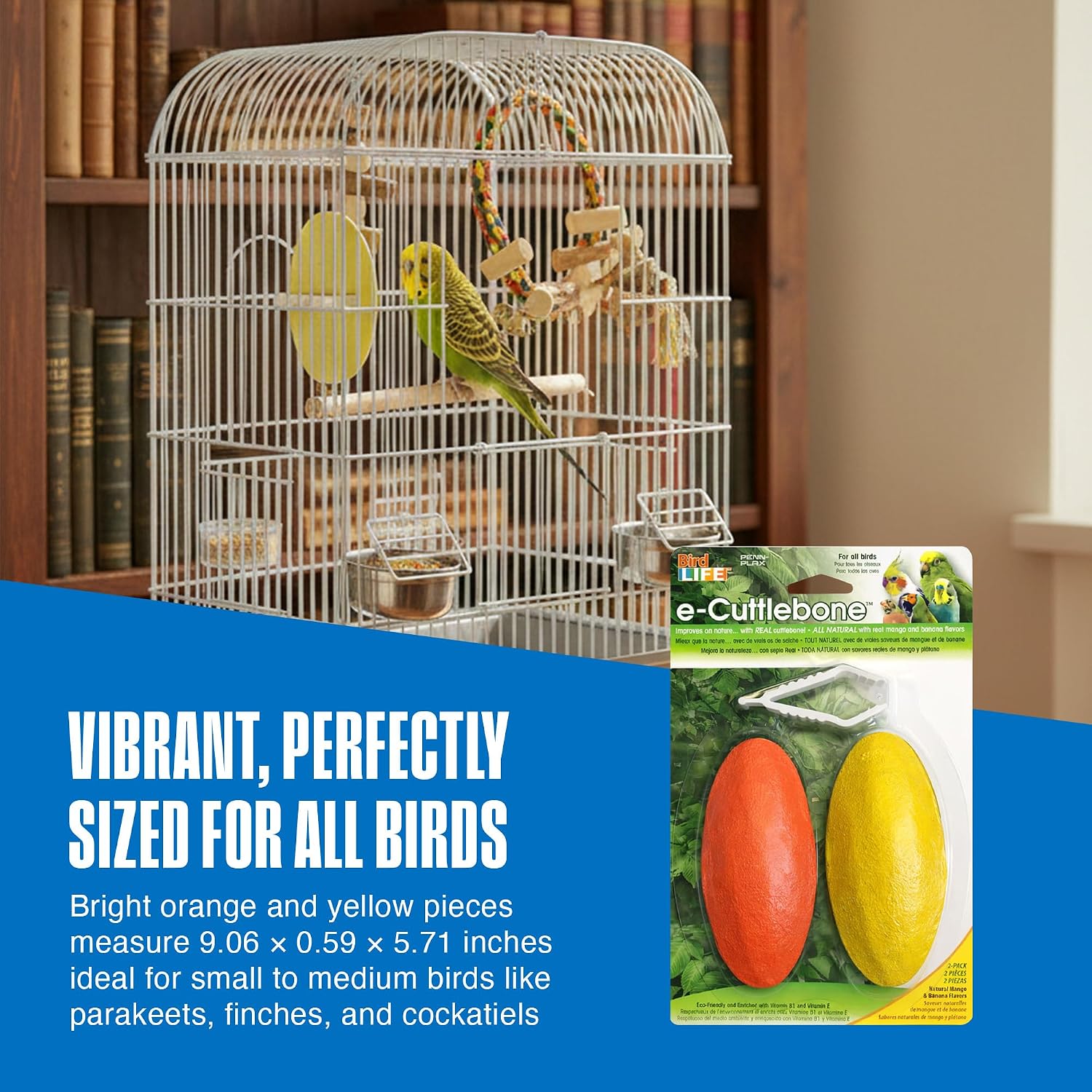 Penn-Plax bird treat hanging in wire cage