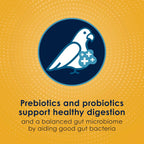 Kaytee bird food feeding guide and transition instructions