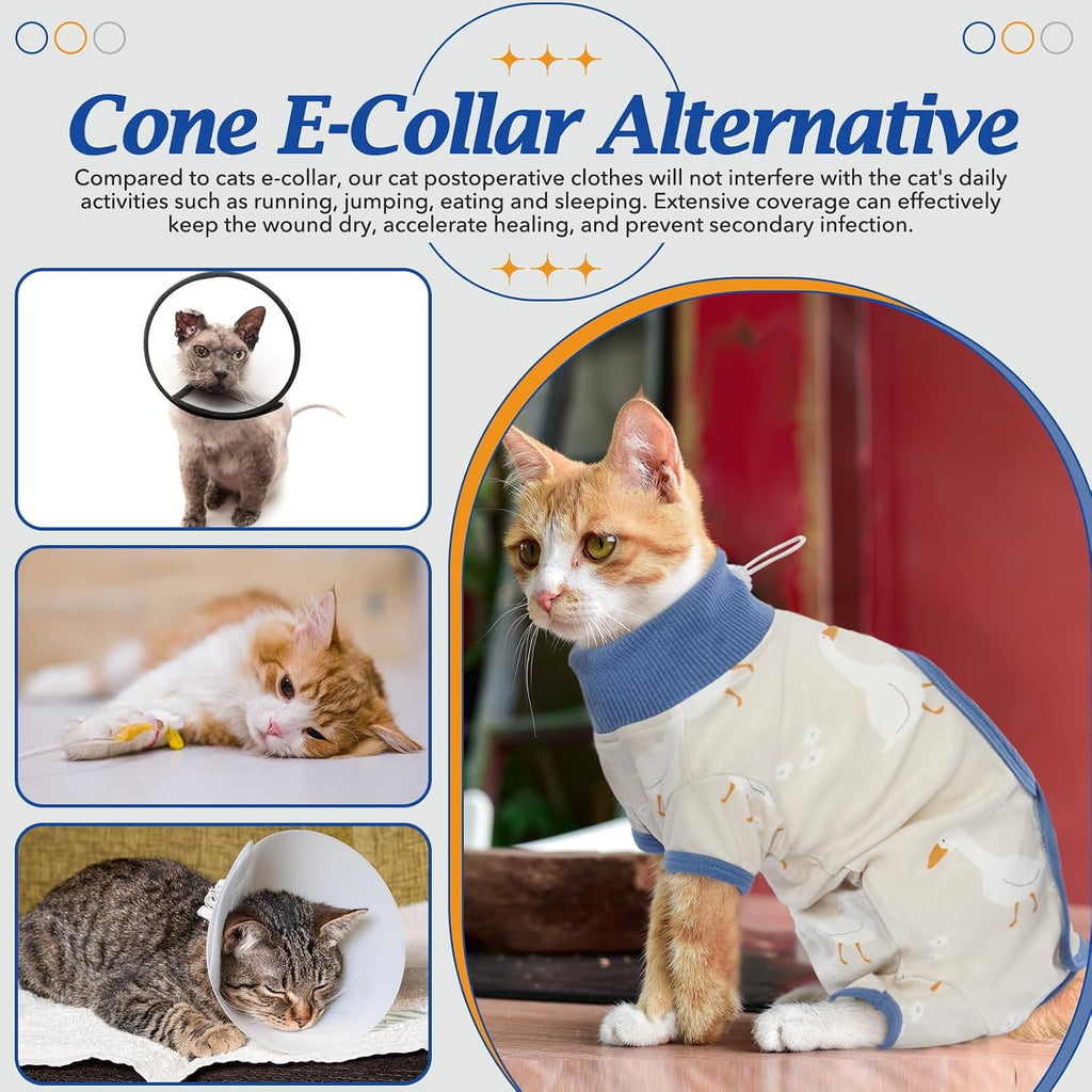 Dentrun pet onesie worn by a Sphynx cat for warmth