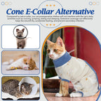 Dentrun pet onesie worn by a Sphynx cat for warmth