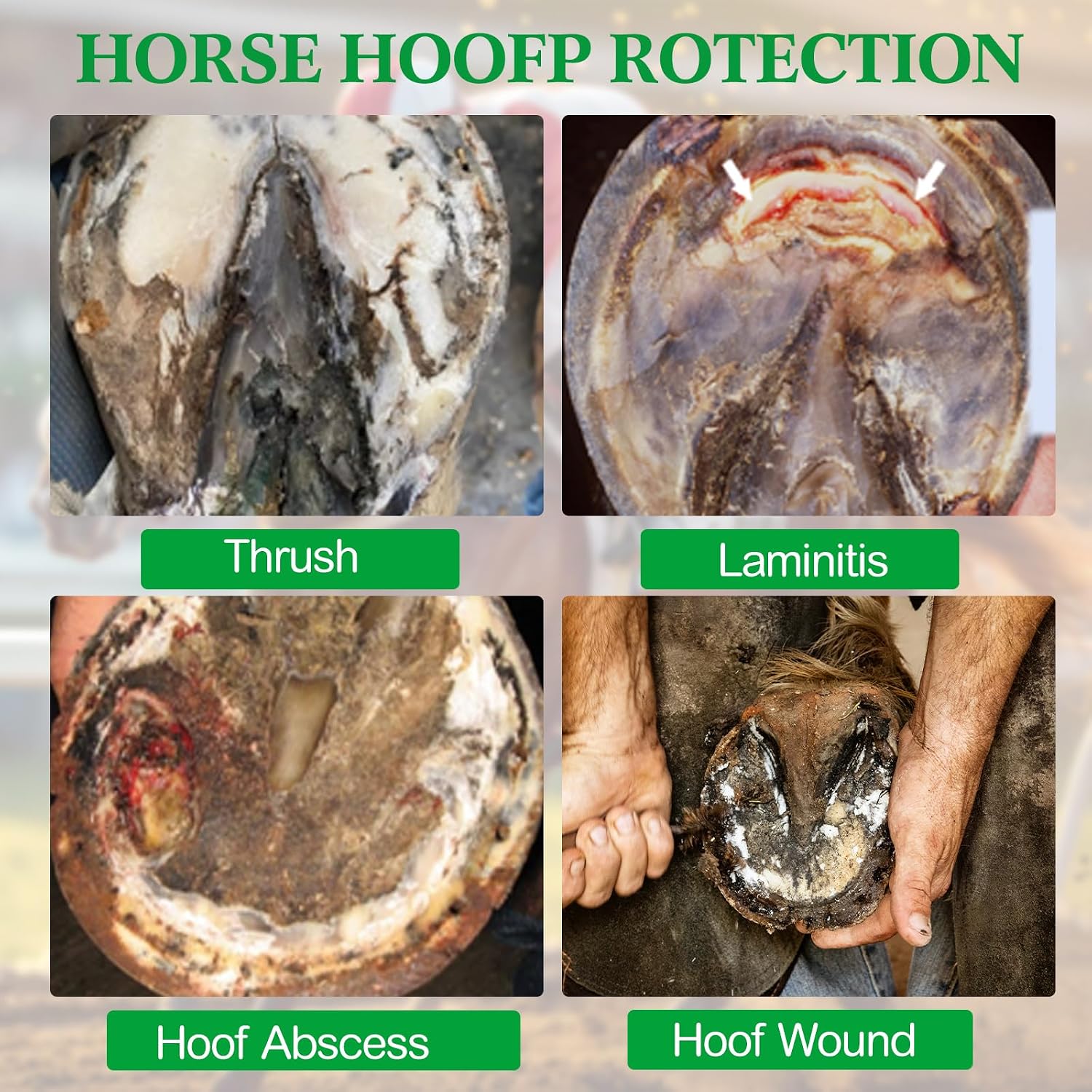 Aliceset horse hoof packing kit showing pre cut sticky pads and flexible self adhering wraps