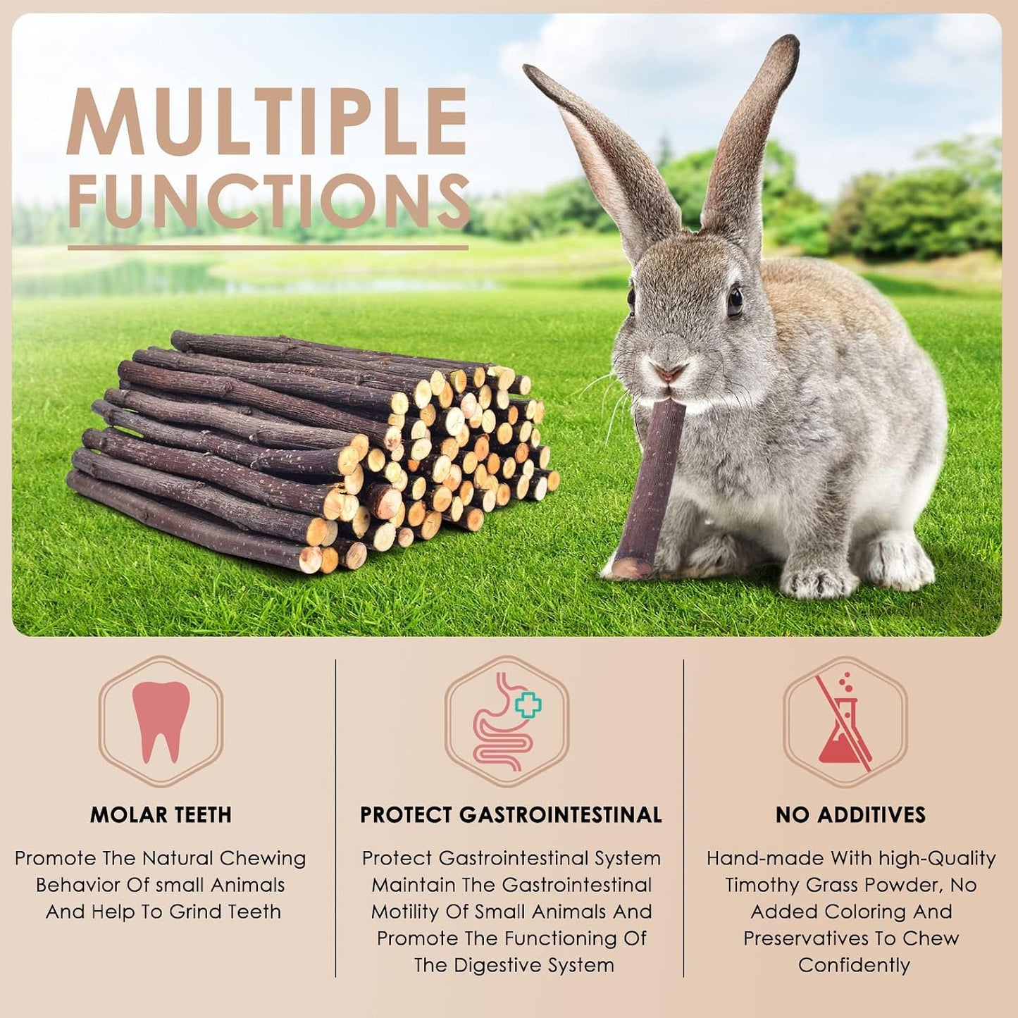 Organic apple branches for guinea pigs and chinchillas highlighting safe pet treats