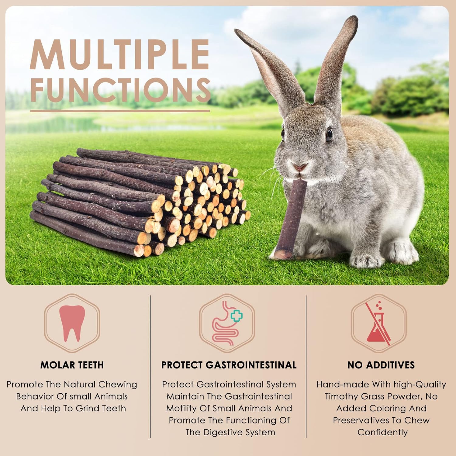 Organic apple branches for guinea pigs and chinchillas highlighting safe pet treats