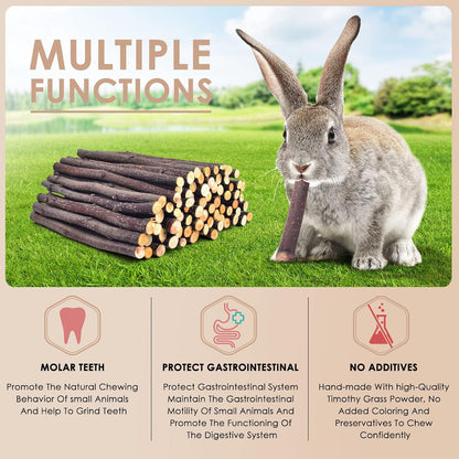 Organic apple branches for guinea pigs and chinchillas highlighting safe pet treats