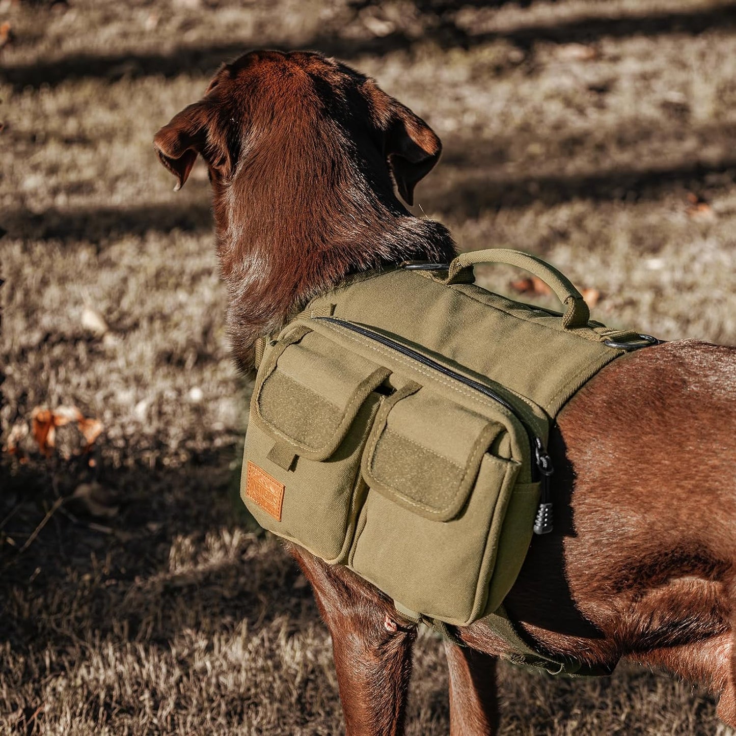 Breathable padded mesh lining inside the OneTigris Hoppy Camper pet pack