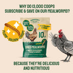 High protein poultry treat nutritional information display